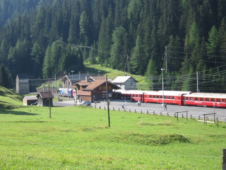 albula
