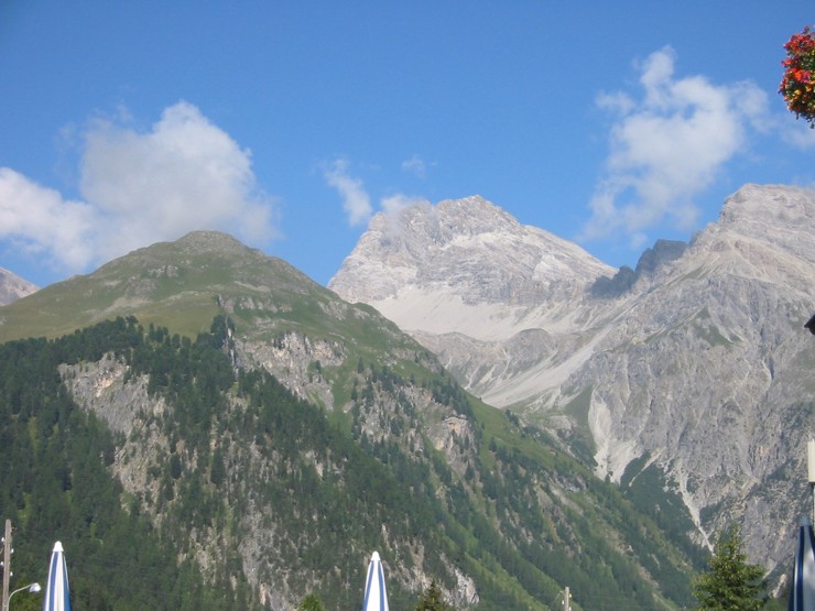 albula