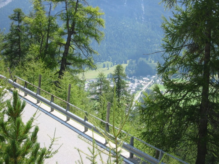 albula